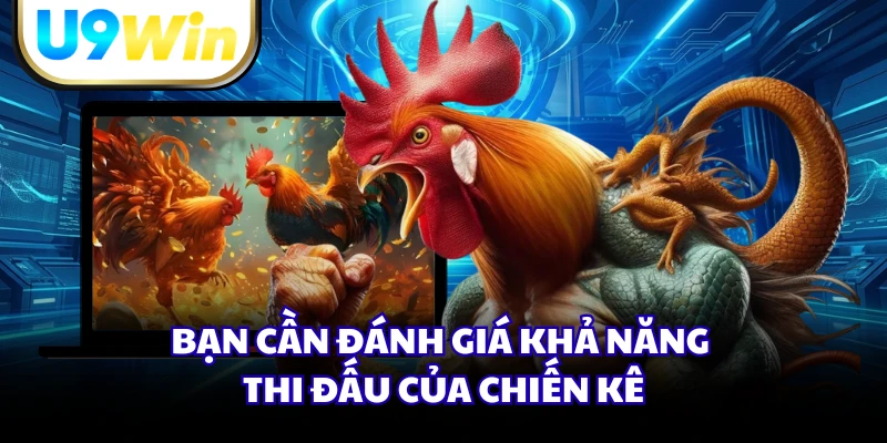 Bạn cần đánh giá khả năng thi đấu của chiến kê