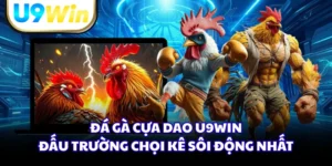 Đá Gà Cựa Dao U9WIN - Đấu Trường Chọi Kê Sôi Động Nhất