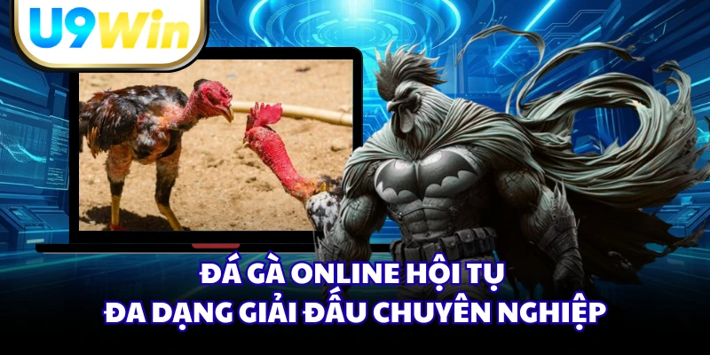 Đá gà online hội tụ đa dạng giải đấu chuyên nghiệp