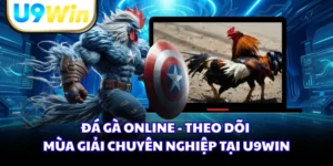 Đá Gà Online - Theo Dõi Mùa Giải Chuyên Nghiệp Tại U9WIN