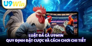 Luật Đá Gà U9WIN - Quy Định Đặt Cược Và Cách Chơi Chi Tiết